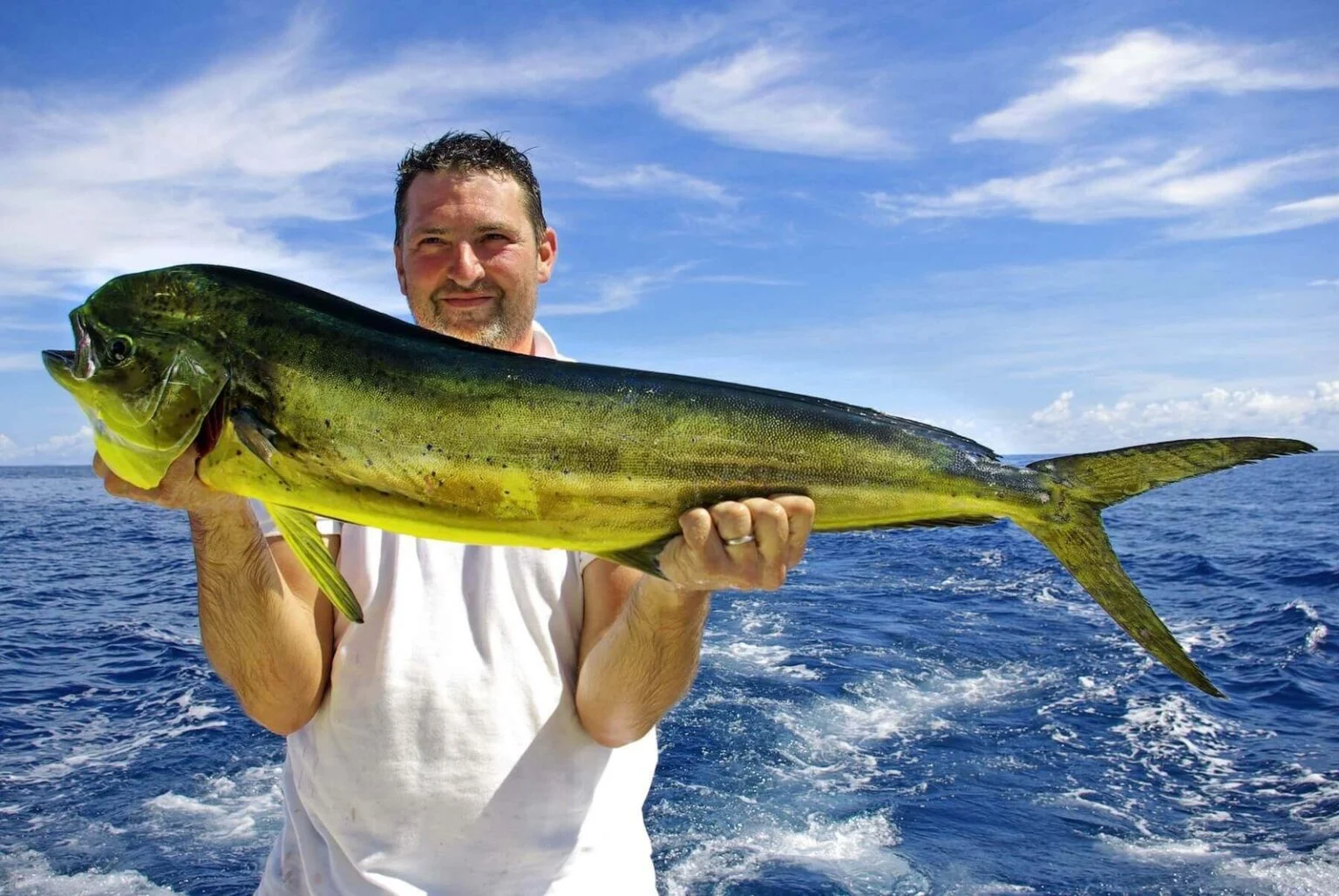 Fishing Calendar Playa del Carmen, trolling fishing in playa del carmen, private fishing charter , fishing tours playa del carmen